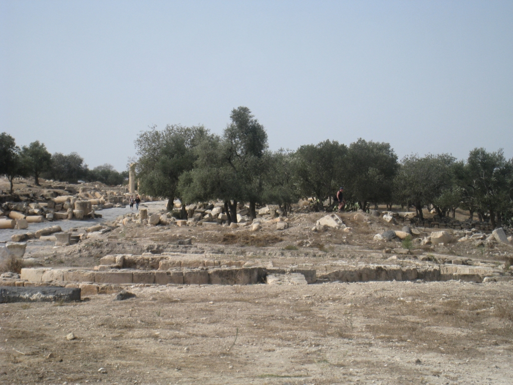 jor0112.jpg