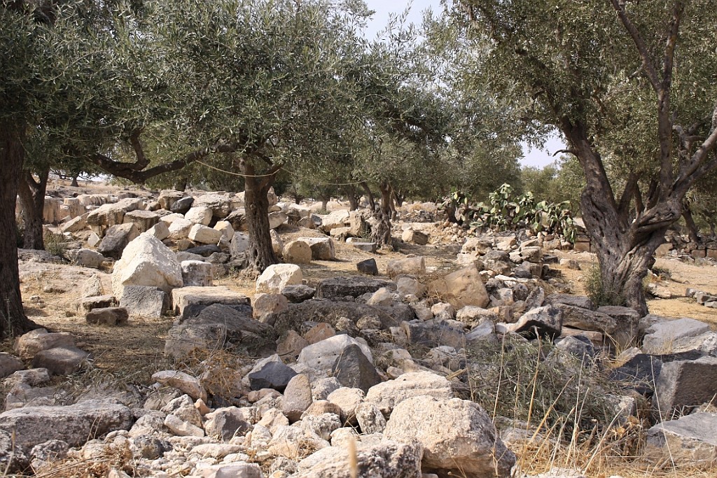 jor0114.jpg
