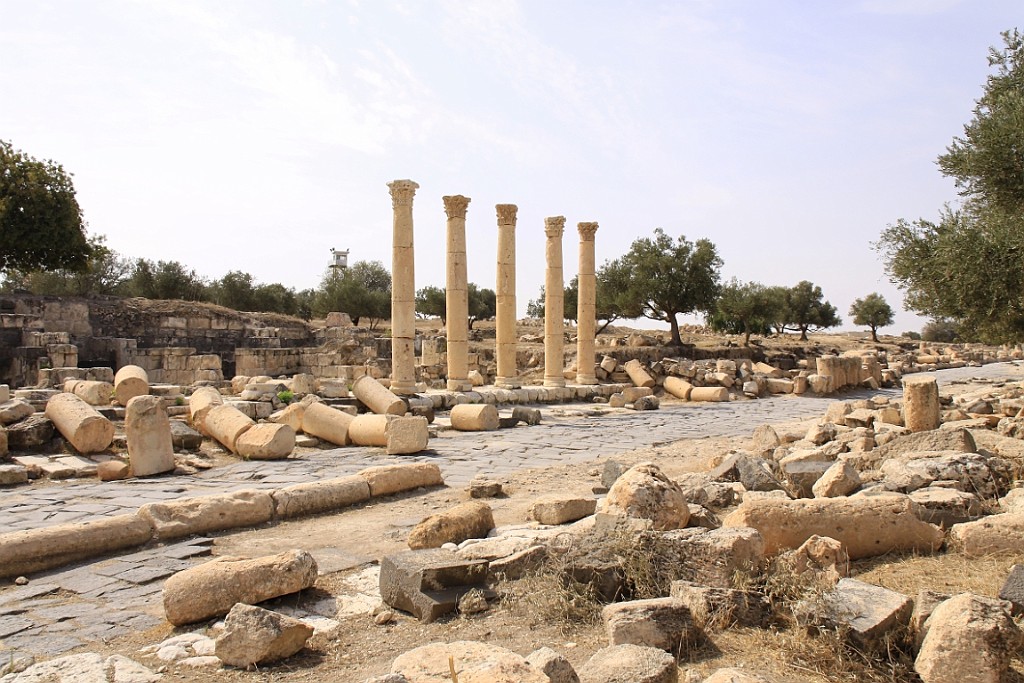 jor0116.jpg