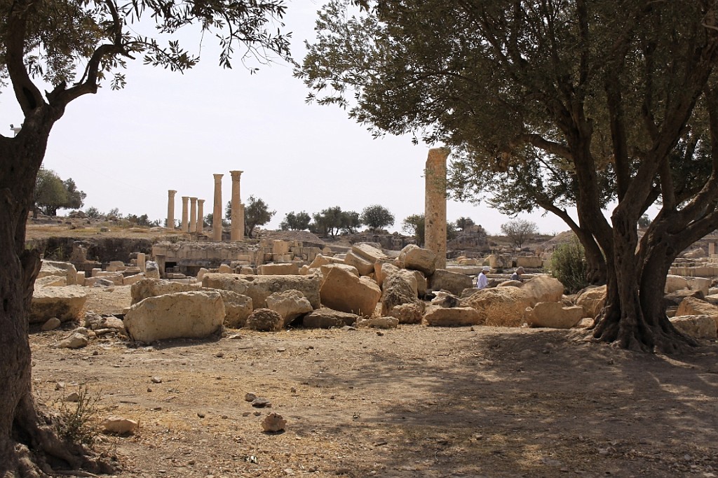 jor0117.jpg