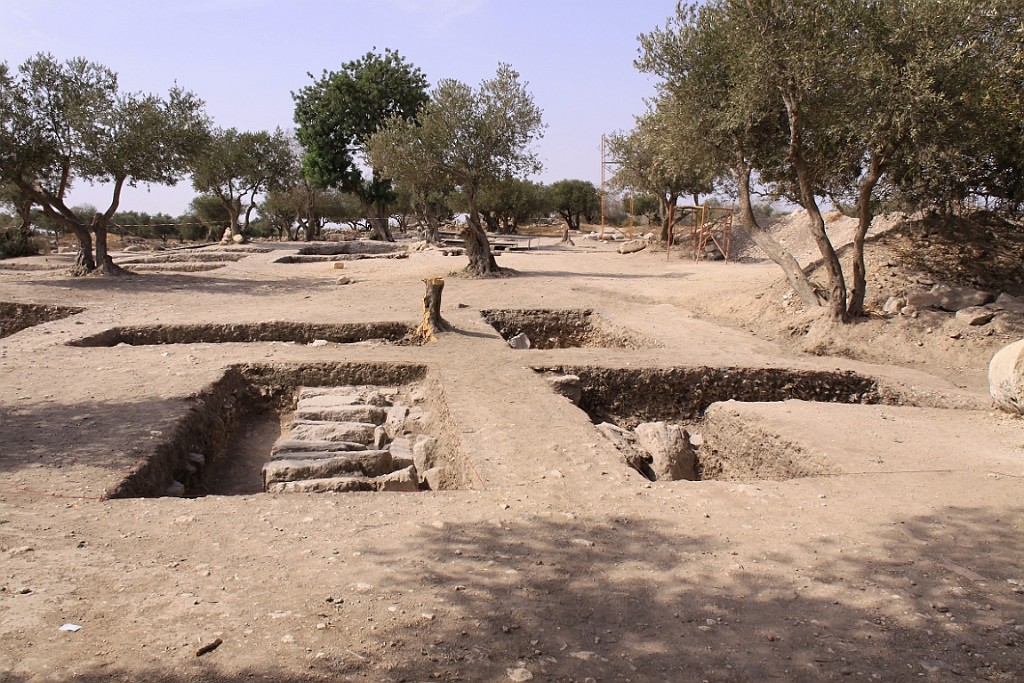 jor0119.jpg