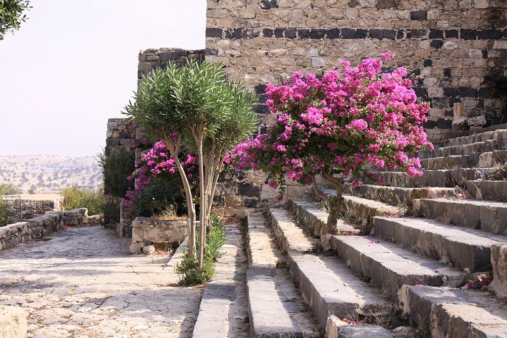 jor0129.jpg