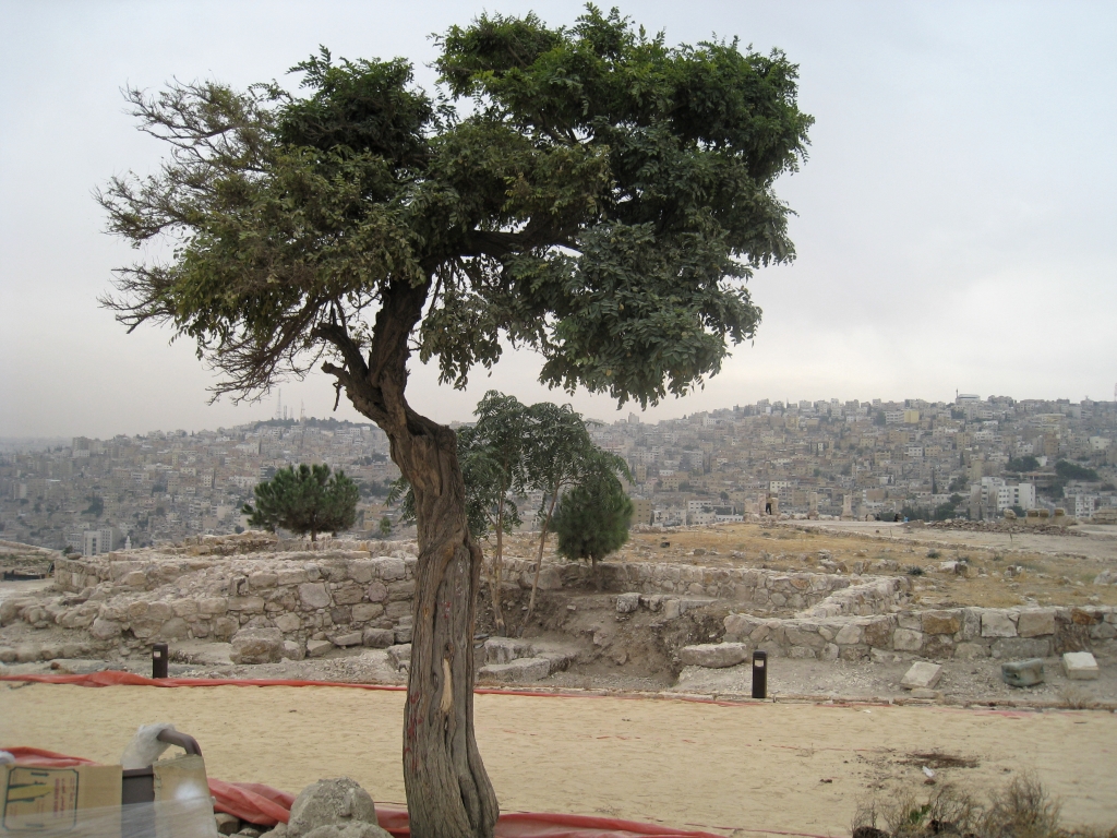 jor0208.jpg