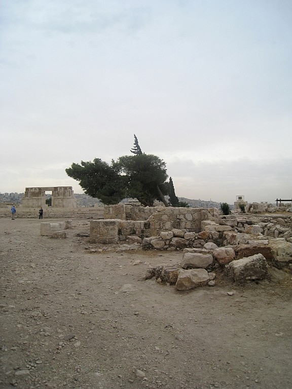 jor0220.jpg