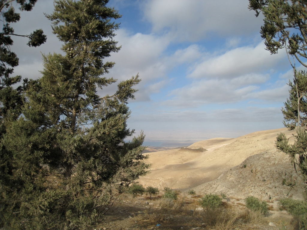 jor0297.jpg