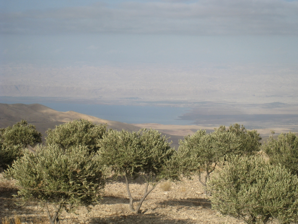 jor0300.jpg