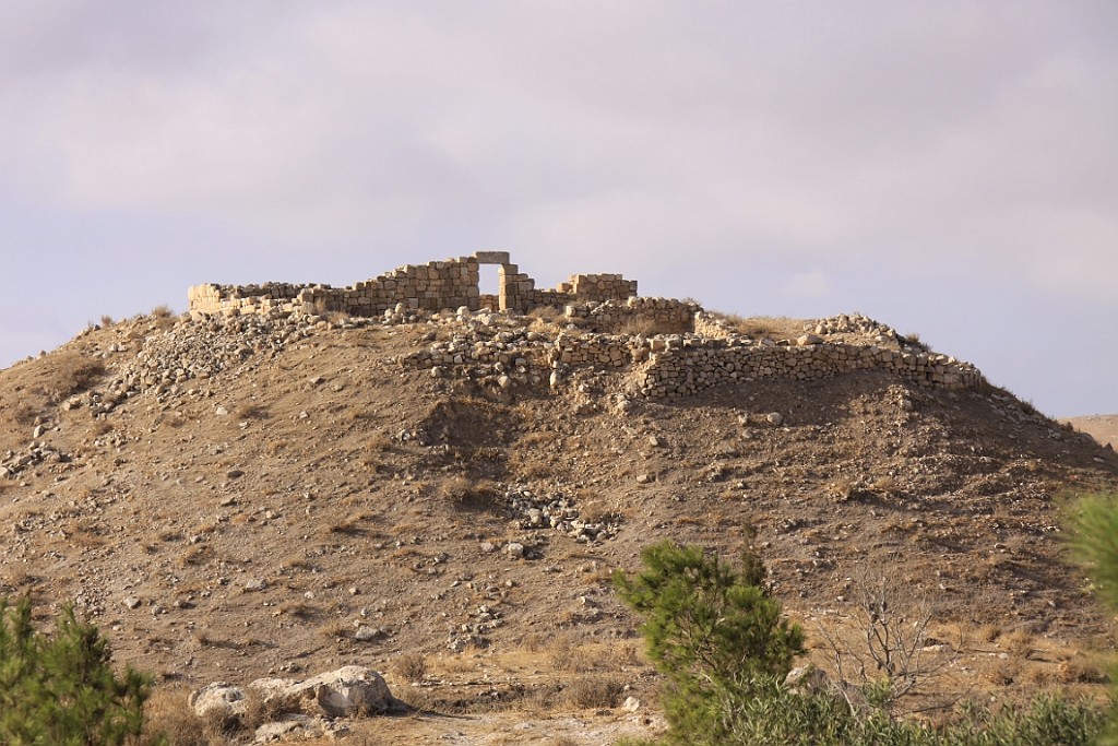 jor0303.jpg