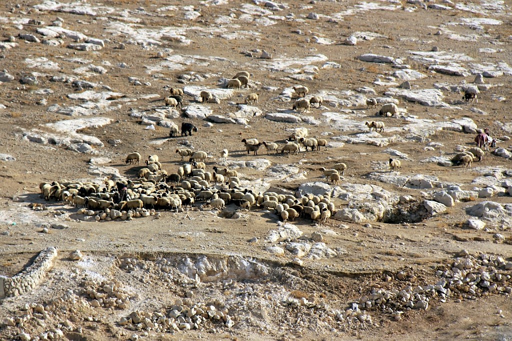 jor0310.jpg