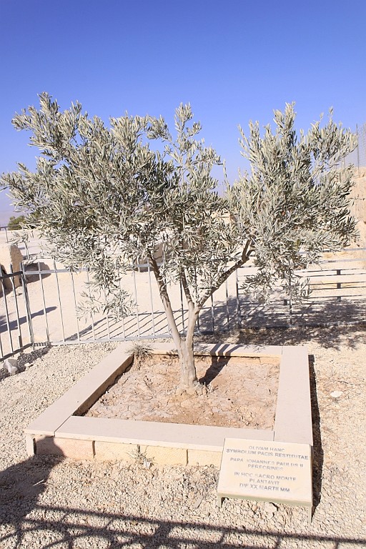 jor0326.jpg