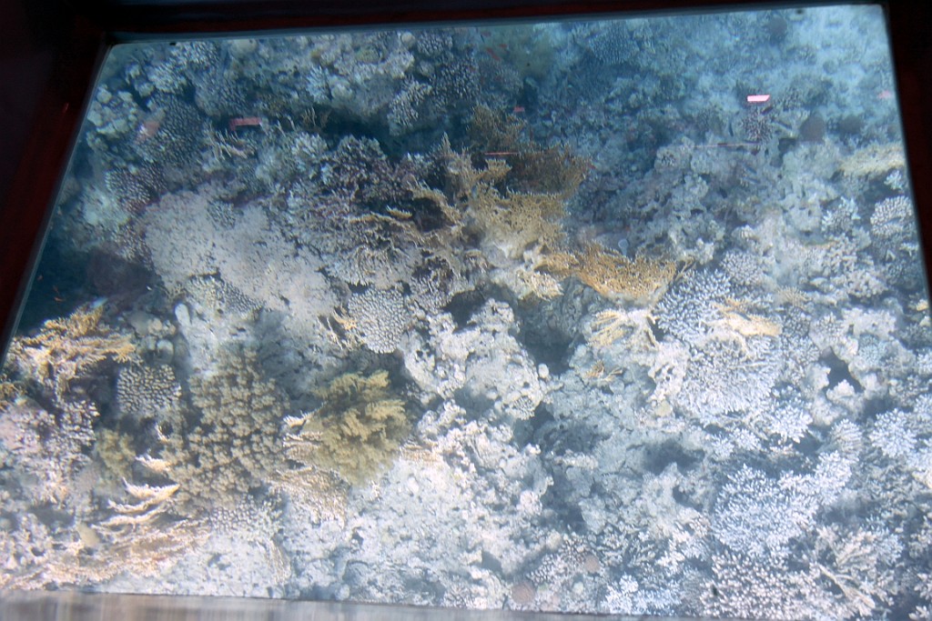 jor0436.jpg