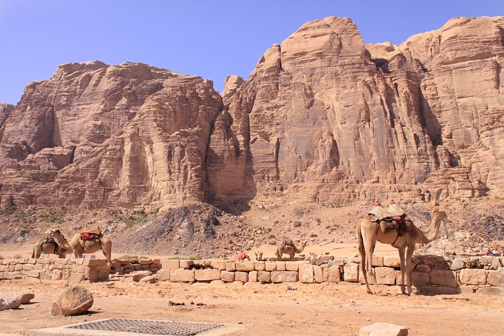 jor0479.jpg