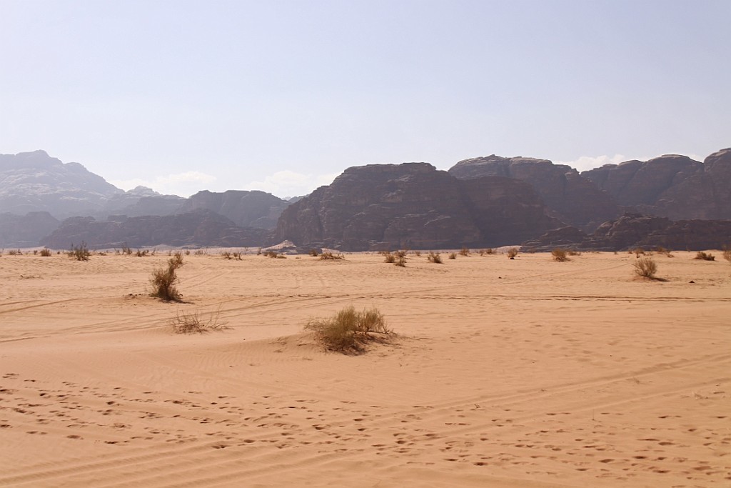 jor0491.jpg