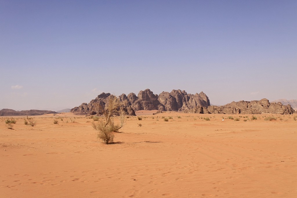 jor0494.jpg