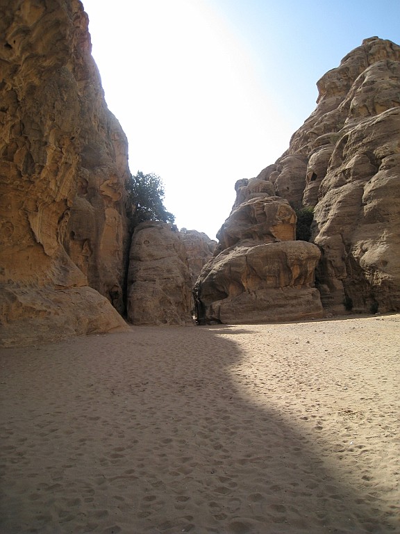 jor0694.jpg
