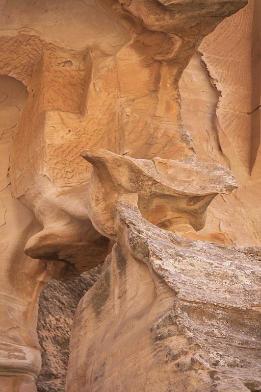 jor0702.jpg