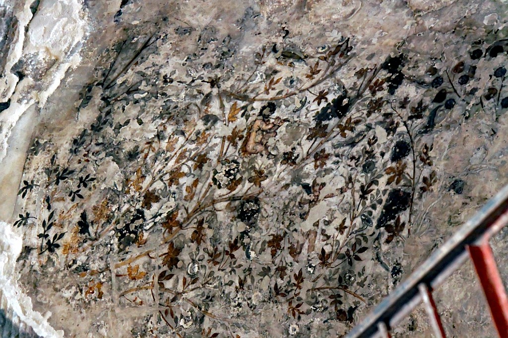 jor0717.jpg