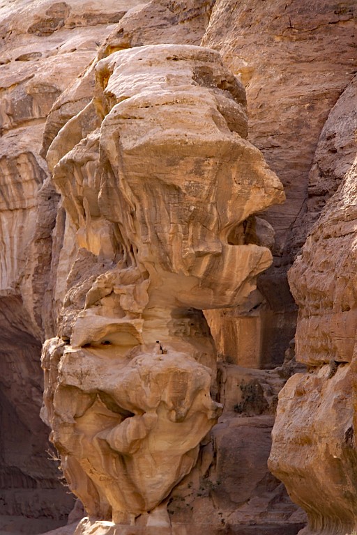 jor0720.jpg