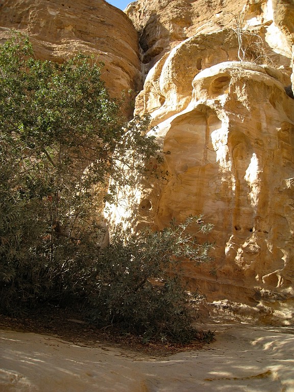jor0721.jpg