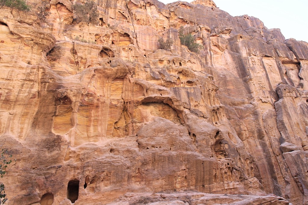 jor0763.jpg