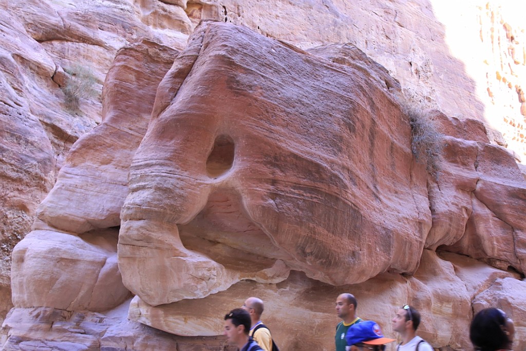 jor0767.jpg
