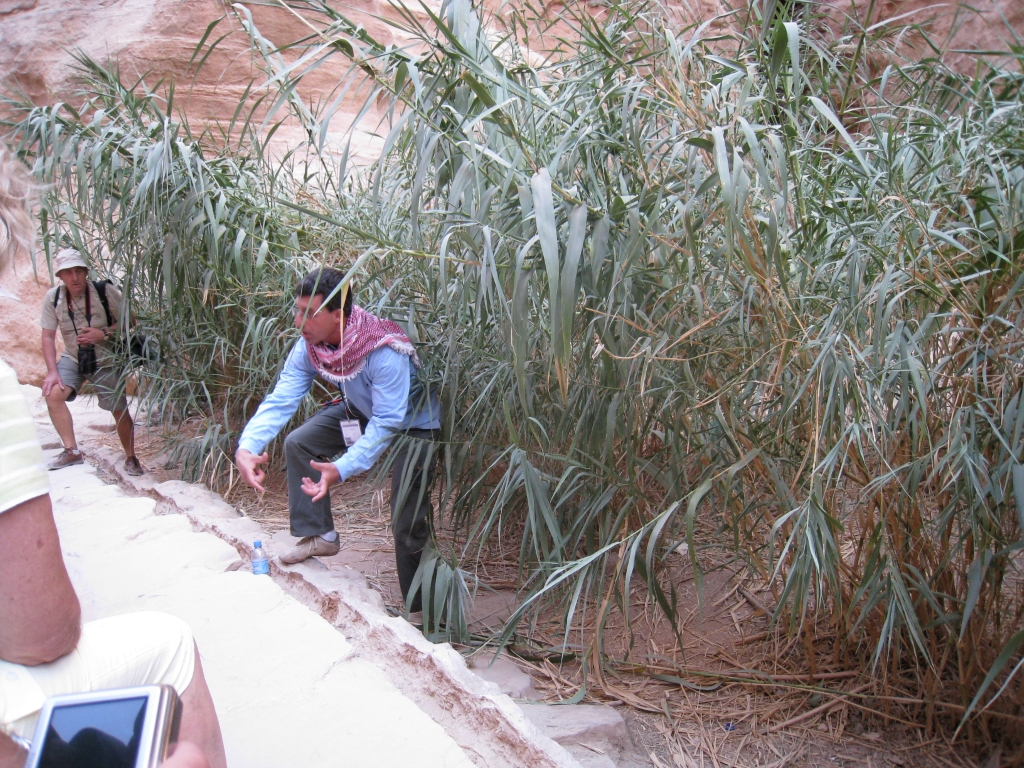 jor0769.jpg
