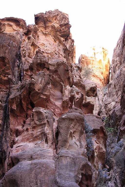 jor0772.jpg
