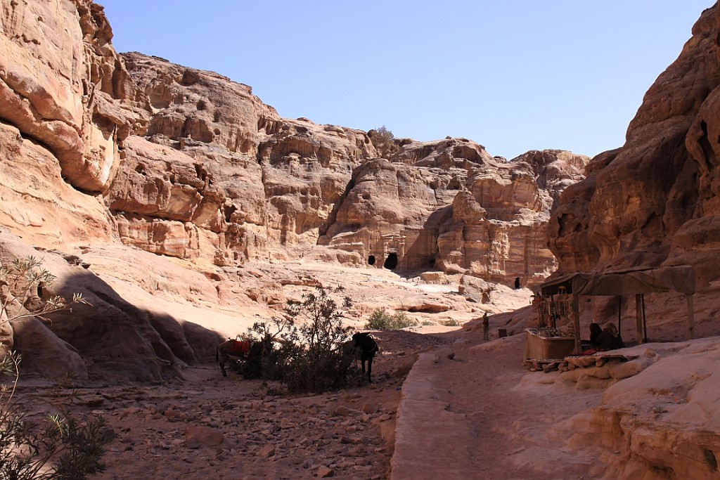 jor0860.jpg