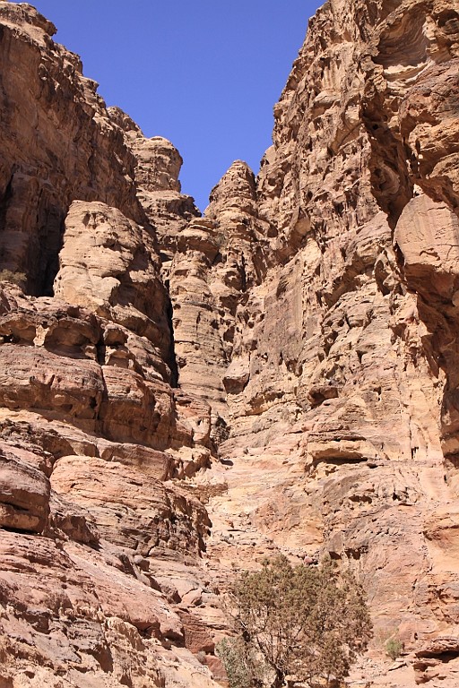 jor0861.jpg