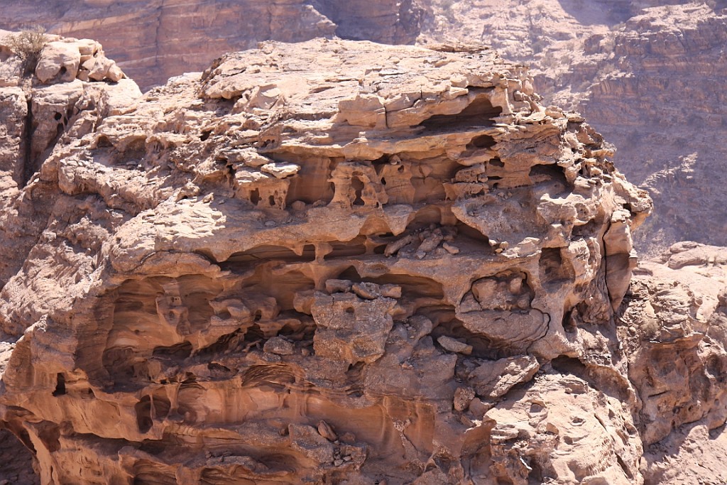 jor0889.jpg