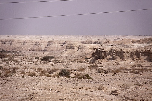 jor0014