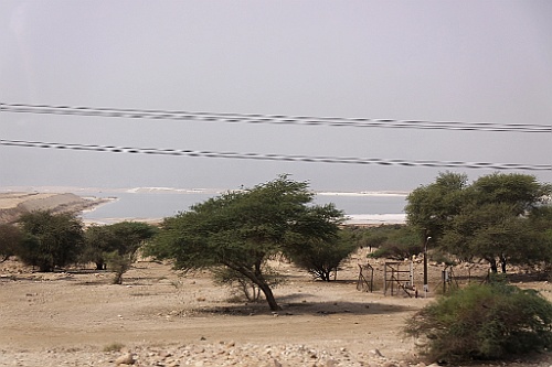 jor0016