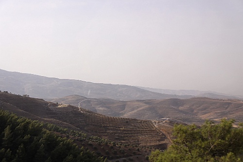 jor0065