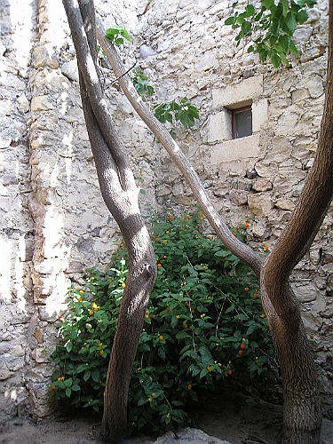 jor0082
