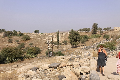 jor0088