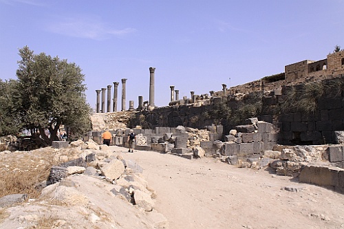 jor0094