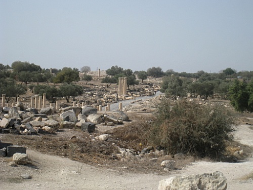 jor0102