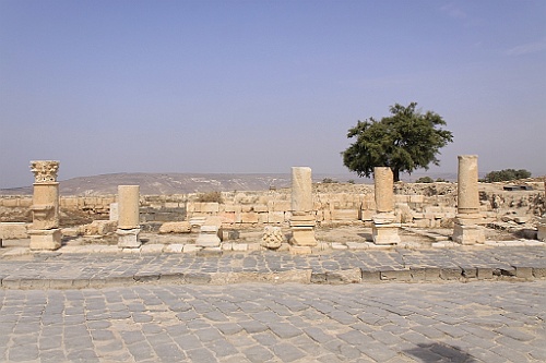 jor0111