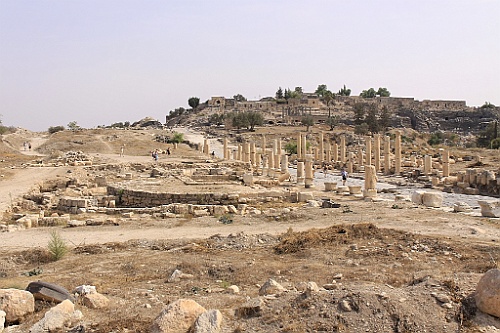 jor0113