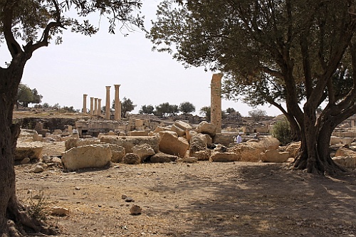 jor0117