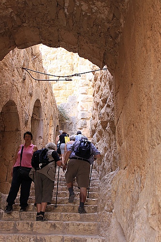 jor0137