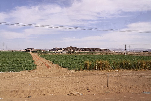 jor0446