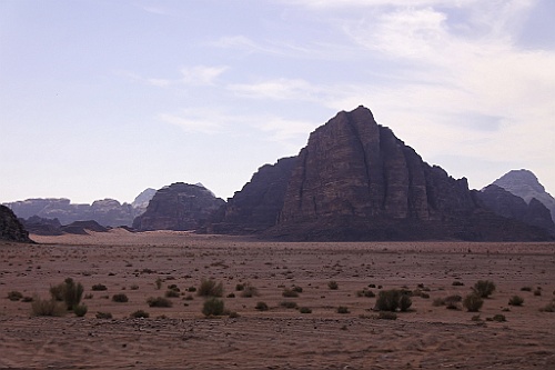 jor0449