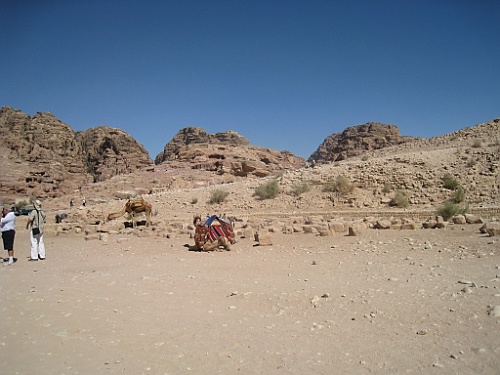 jor0845