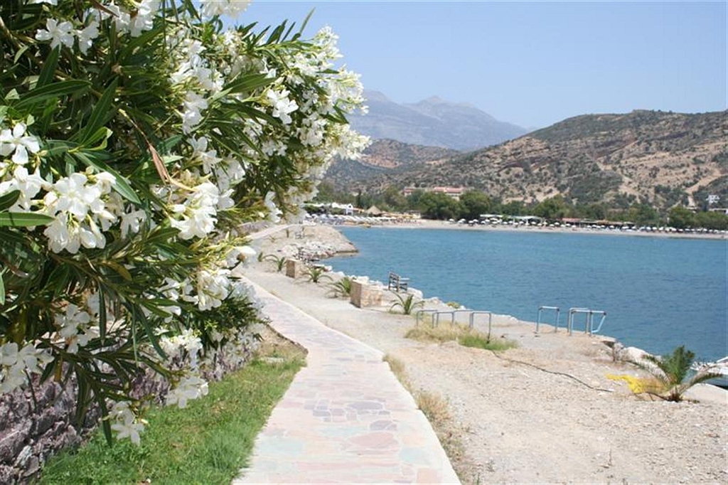 kreta21.jpg