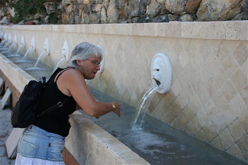 kreta40.jpg - De typische leeuwekopjes