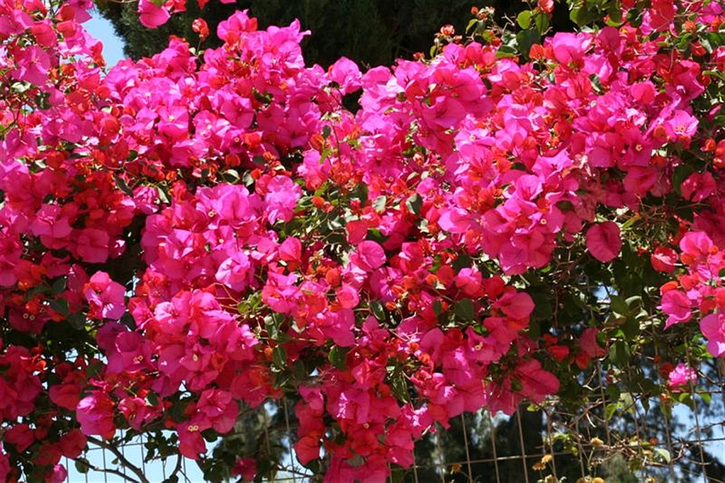kreta58.jpg