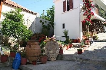 kreta46