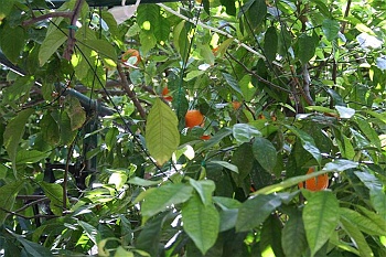 kreta82