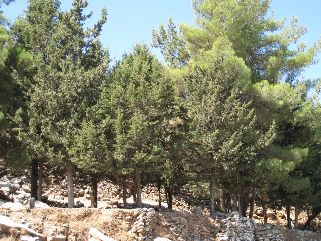 Kreta080.JPG