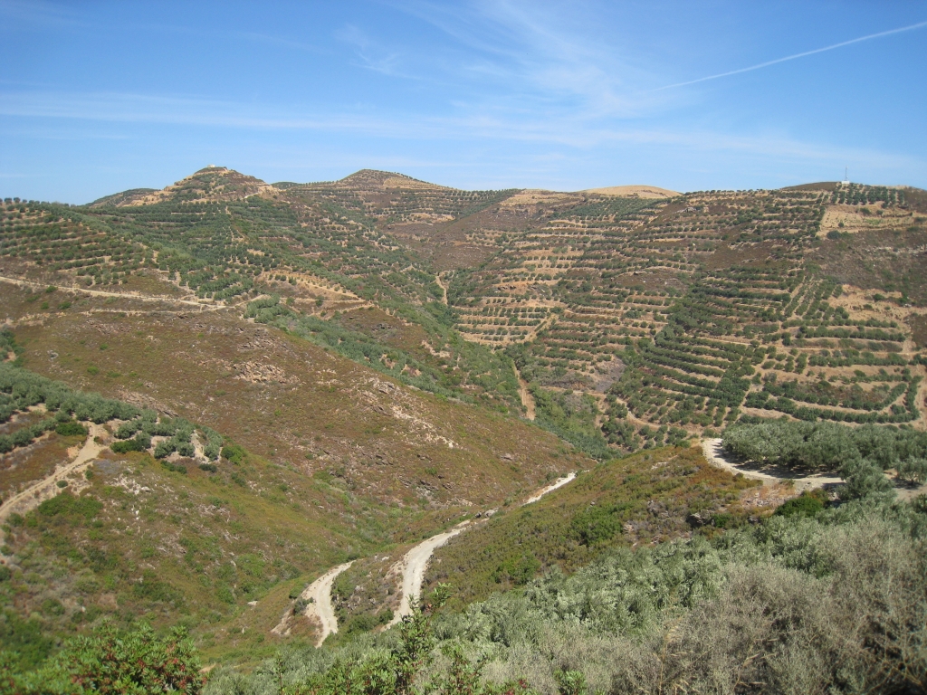 Kreta195.JPG